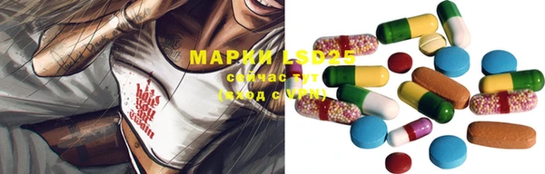дурь Алзамай