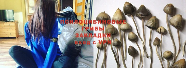 mix Алексин