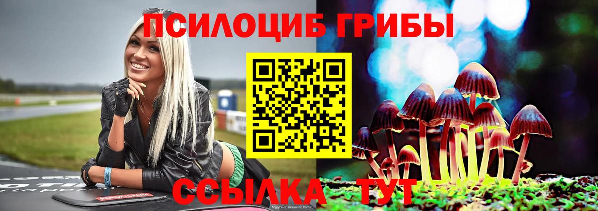 Псилоцибиновые грибы прущие грибы Междуреченск