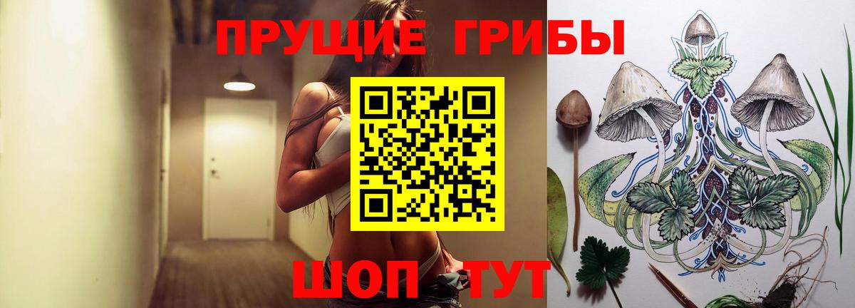 Галлюциногенные грибы ЛСД  Вход с VPN  Междуреченск 